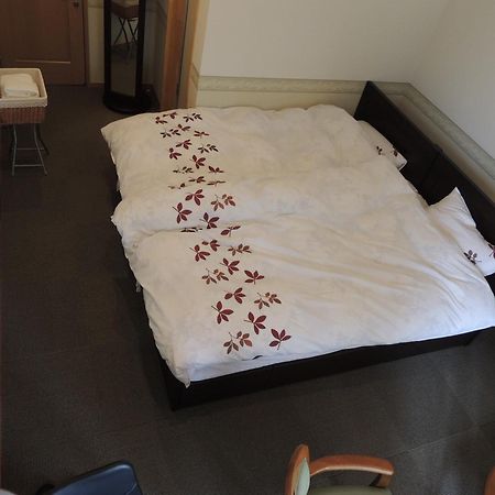 B&B Hotel Hyochoan 가루이자와 객실 사진